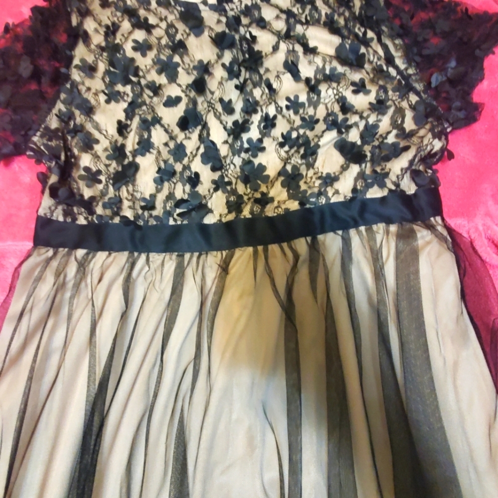 Womens Formal Dress